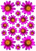 Fietsstickers bloemen Margriet fuchsia