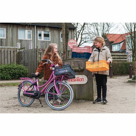 Kinderfietskrat oud roze (11 liter)