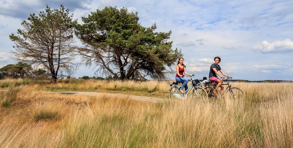 fietsen op veluwe