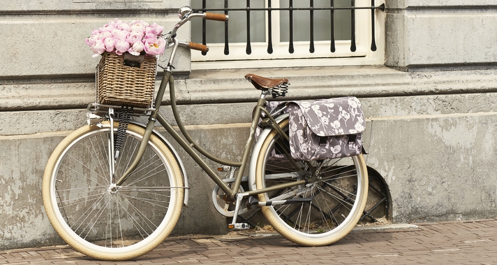 onduidelijk Eigendom staan Transportdrager - Pimpjefiets