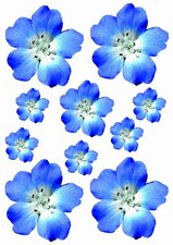 Fietsstickers bloemen blauw/paars