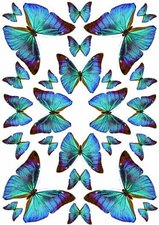 Fietsstickers vlinders groen-blauw
