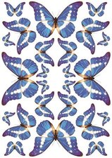Fietsstickers vlinders blauw