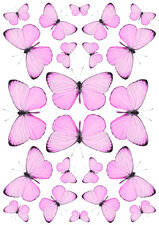 Fietsstickers vlinders roze
