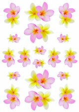 Fietsstickers kelk bloempjes roze geel