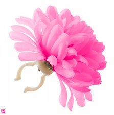 Stuurbloem fuchsia