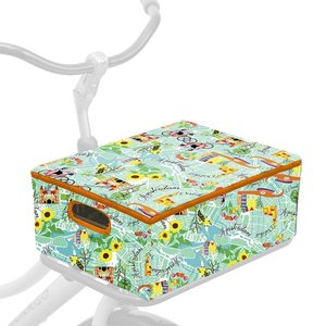 Fietskrat-hoes-get-lost-in-Amsterdam - Pimpjefiets