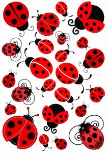 Fietsstickers lieveheersbeestje - Pimpjefiets